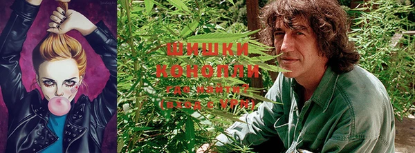 мет Михайловск