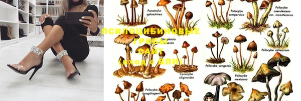 гашиш Михайлов